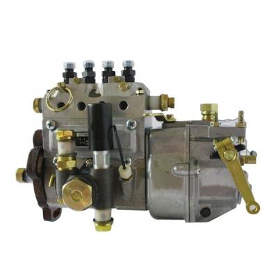 China Factory Yangdong 480 fuel injection pump assembly for sale