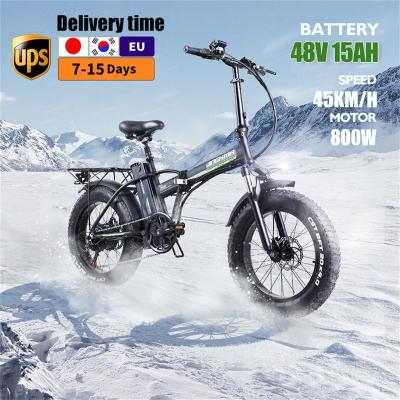 China Large LCD Screen Electric Mountain Bike 800W15ah Luxury Waterproof Folding Electric Bike For Adult In China for sale