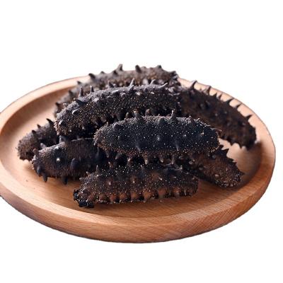 China Factory price nutritious sea cucumber nature dry food good for health sea cucumber for sale for sale