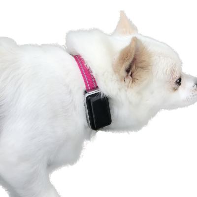 China Mini Automotive Gps Tracking Microchip For Dog for sale