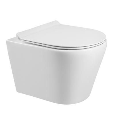 China Chinese Wholesale Popular Design Hidden Rimless Wall Hung Toilet Cistern With Bidet for sale