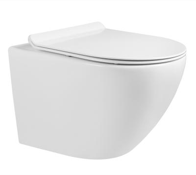 China Chinese Wholesale Hidden Cistern Wall Hung Toilet With Bidet Popular For Market for sale