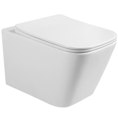 China Water Tank Toilet Special Design Wallless Hung Toilet Hidden Cistern Space Saving With Bidet for sale