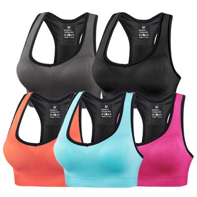 China Factory Made Nylon Women's Breathable Wholesale Plus Size Sports Bras For Women Fitness for sale