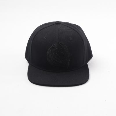 China OEM Hip Hop Team 6 Panel Men's COMMON Hat Snapback Hats Embroidered Blank Snapback Hat Custom Hat for sale