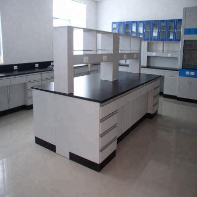 China Commercial Furniture Laboratory Toxic Agent Work Bench Style Modern School Microbiology Lab Furniture Prices for sale