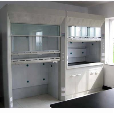 China Small Modern Portable Steel Duct Chemistry Walk In Steam Hood Used For Laboratory for sale