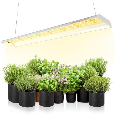 China Seed Starting Farmer SF600 Mini Small Spider Indoor LED Grow Light For Veg Plant Growing Lamp for sale