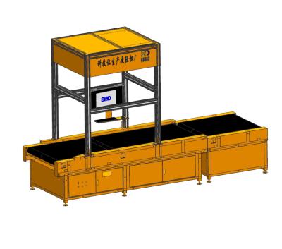 China Dynamic Full Automatic Logistics Ect Parcel Weighing Barcode Reading Dimensioning DWS System For Logistics Industry for sale