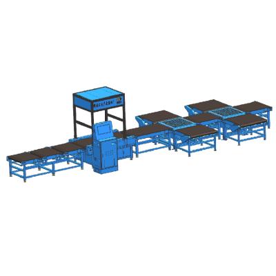 China High efficiency automatic intelligent e-commerce matching dws logistic equipment for sale