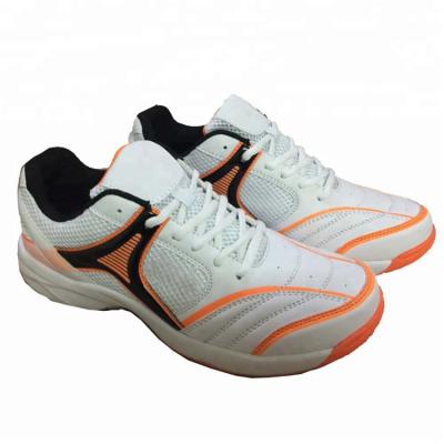 China Fashion\YT Comfortable\Durable\Breathable\Lighted Shoes Sports Training Shoes For Men's Professional Cricket Shoes Hardness Rubber Spike for sale