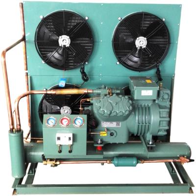 China FRESH Professional Industrial Industrial Refrigeration Warehouse Fruit Supply Cold Storage Room Factory Condensing Unit for sale