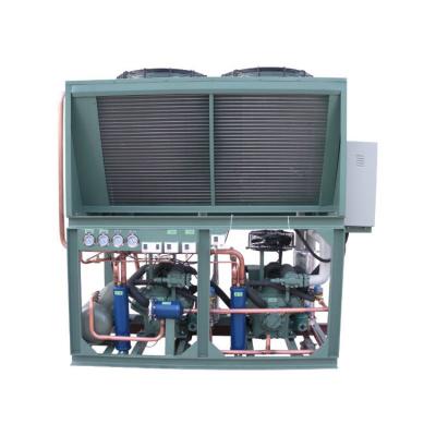 China Cold Storage Room FREEZER Room (MEAT & SEAFOOD Cheap Price Quality Power Saving Supermarket Cooling Equipment Air Cooled Refrigeration Condenser Unit) for sale