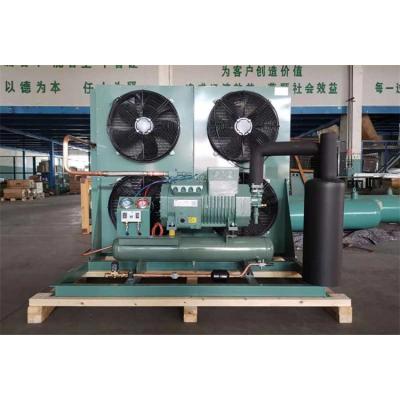 China Cold Storage Room FREEZER Room (Wholesale Industrial Seafood Factory Refrigeration Heat Exchanger Condensing Unit) for Frozen Cold Storage for sale