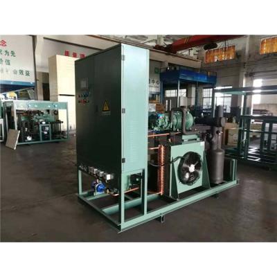 China Other Hot Selling Air Cooled Condensing Device Condenser Cold Room Unit for sale