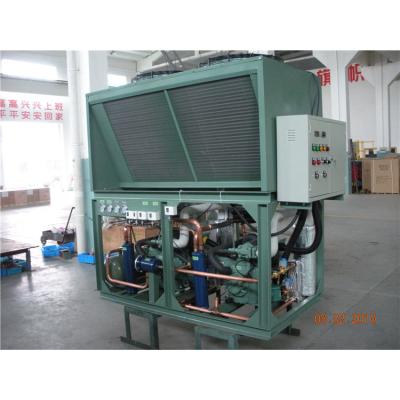 China Cold Storage Room FREEZER Room (MEAT & SEAFOOD Sales Hot Condensing Low Temperature Units Equipment Cold Room Unit Refrigerators) for sale