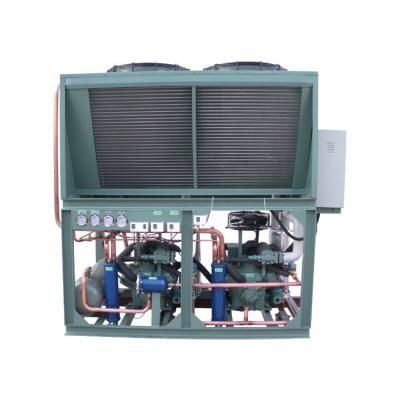 China Cold Storage Room FREEZER Room (MEAT & SEAFOOD Good Prices) Air Cooled Industrial Evaporator Units Compressor Condensing Unit for sale