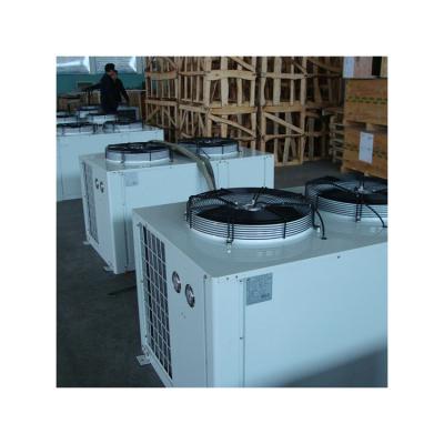 China Cold Storage Room Cooling Hot Selling New Products (Vegetable and Fruit) Condensing Units for Frozen Cold Storage Room Unit Freezer for sale