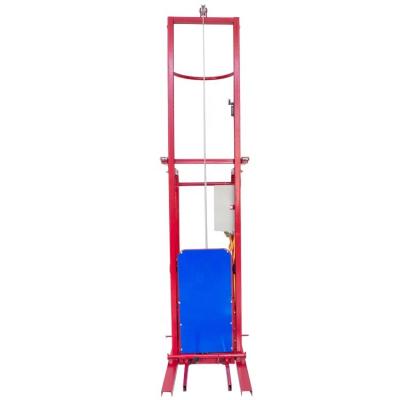 China Easy Operation High Quality Electric Hoist Small Vertical Crane for sale