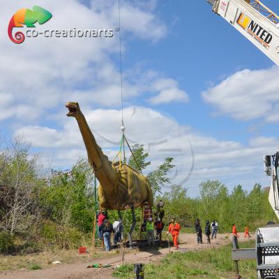 China Mamenchisaurus Animatronic Realistic Amusement Dinosaur for Park for sale