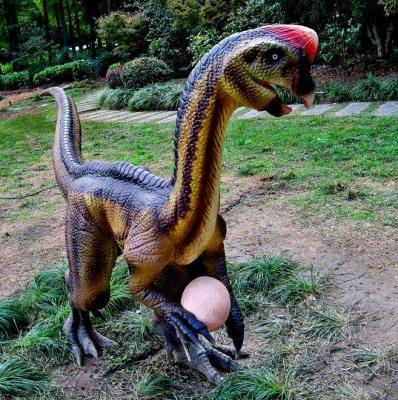 China Attraction Zoo Dinosaur Take To Robot Eggs Life Size Animatronic Oviraptor for sale