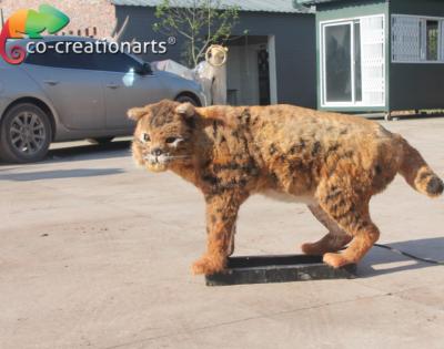 China New Idea Artificial Popular Animated Life Size Animatronic Animal Of Attraction for sale