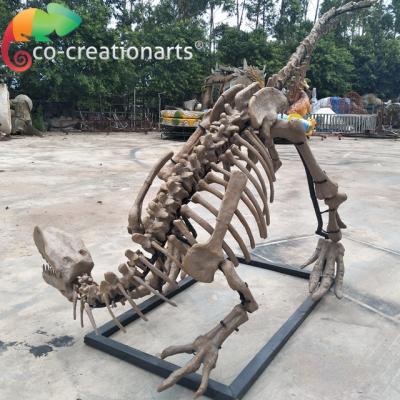 China Exhibition Fiberglass Dinosaur Skull Replica Skeleton Model For Sale for sale