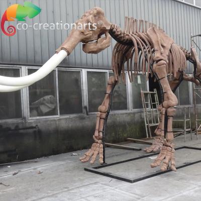 China Exhibition Museum Decoration Animal Theme Fossil Artificial Gigantic Skeleton for sale