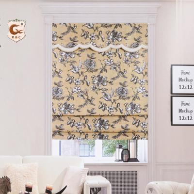 China Minimalist China Manufacturer Window Blinds Zebra Pleated Fabric Roman Blinds for sale