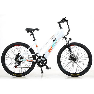 China 2021 Customized aluminum alloy China factory wholesale color 26inch e bikes mountain electric bicycle for men for sale