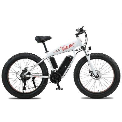 China 26 Inch Fat Tire Style Electric Bicycle Vintage Body Fitness+Jumping Retro New Swap Electric Bike With Side Car Tank for sale