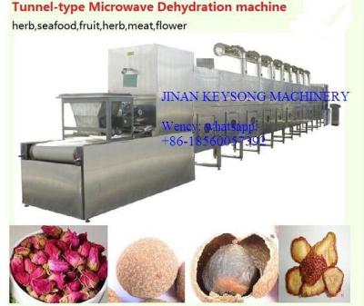 China Safety SUS304 Food Dryer Machine , Industrial Microwave Drying Equipment for sale