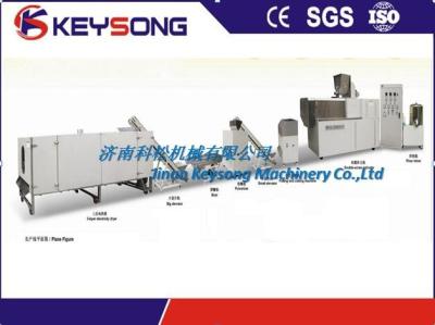 China Twin Screw Food Extruder Machine , Electric Bread Crumb Machine for sale