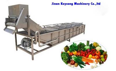 China Fresh Vegetable and Fruit  Food  Processing Machinery  Cleaning Machine for sale