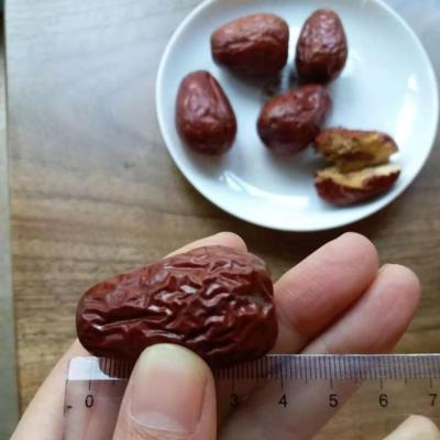 China Xi'an Chinese Dried Red Date Supplier for sale