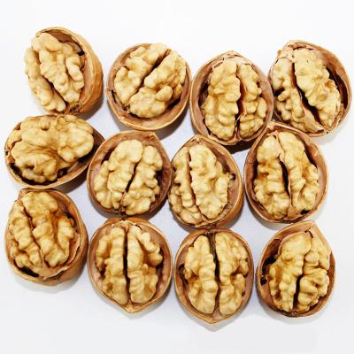 China Nutrition Dried Chinese Nuts Kernels , Brown Walnut Kernels , Halves Walnut Kernels for sale