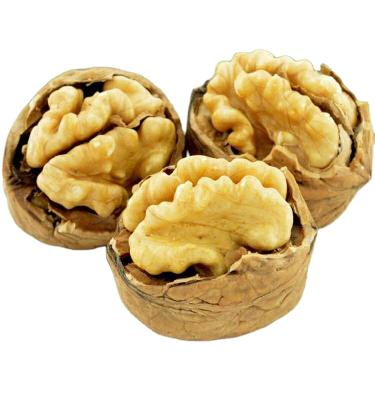 China Nutritious nut with shell, inshell nut for sale