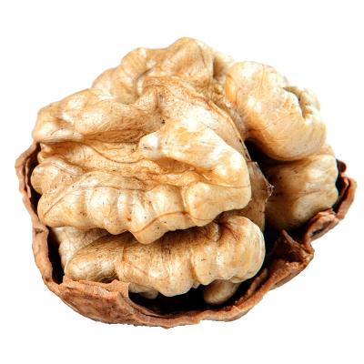 China Dried extra light walnut kernel halves on hot sale for sale