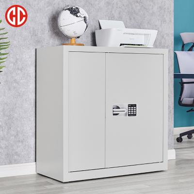 China (Other)Adjustable Heavy Duty Metal Security Cabinet For Filing Cabinet With Combination Lock for sale