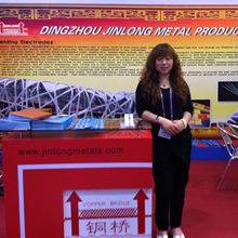 Verified China supplier - Dingzhou Jinlong Metal Production Co., Ltd.