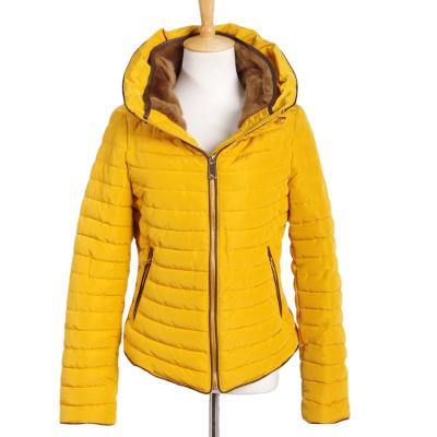 China Winter Women Waterproof Jacket Down Jacket Padded Coat Ladies Slim Hooded Parka for sale