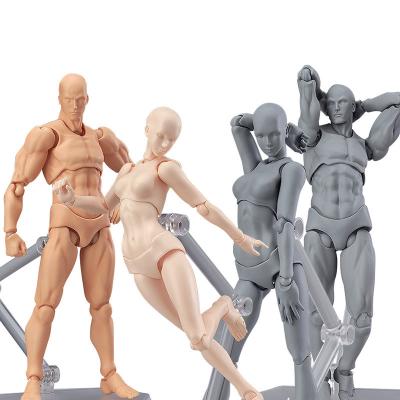 China Flesh Tone 6inch Movable Action Figure Model Toy Articulated Archetype Male and Female Torso Detail Painting Custom Action Number for sale