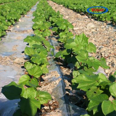 China Farm Irrigation VODAR PE Material Wing Labyrinth Drip Irrigation Pipe Single For Drip System for sale