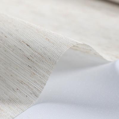 China Populsr European Minimalist Roman Fabric Shade Fabric 100% Polyester Luxury Canvas Type for sale