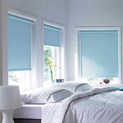 China Designer Minimalist Custom Roller Blinds And Exterior Clear Shades Horizontal Track Roller Blind for sale