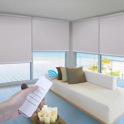 China Modern Automatic Electric Motorized Roller Blind Motor For Roller Shades Blind Horizontal Blind Motor for sale