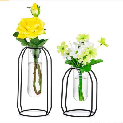 China Factory Directly Sale Geometric Modern Clear Glass Metal Test Tube Flower Vase For Home Decor for sale