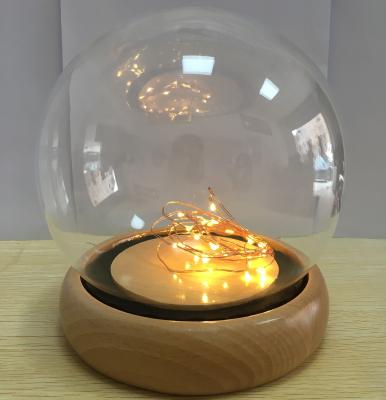 China China Globe Glass Dome with Copper LED String Light for Decoration for sale