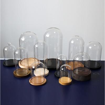 China China Hot Sale Oval Dome Glass Cloche With Wooden Base for sale