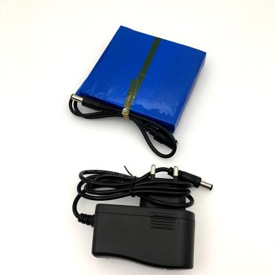 China Batetry With PCB + Charger OEM Flat Polymer 8000mAh 12v Rechargeable Lithium Battery for sale